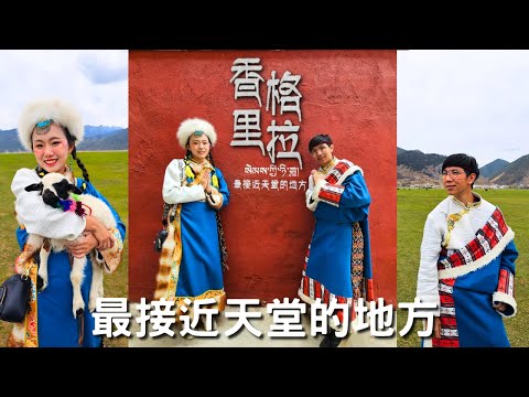 EP-162 【雲南麗江】雲南系列最終章/人間仙境香格里拉/推薦一日藏服體驗/藏族風格獨克宗古城/可以騎馬的納帕海草原/抱可愛又調皮的小羊/走訪中國彩雲之南 #西雙版納 #昆明 #普洱 #大理 #麗江