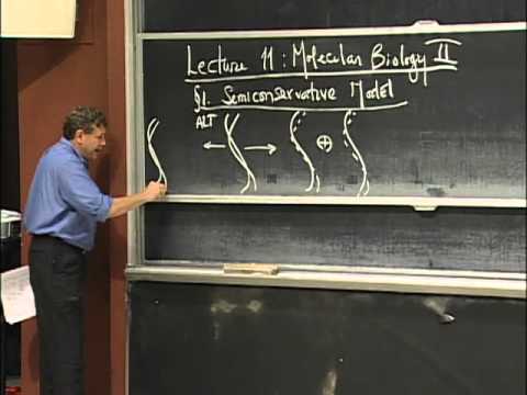 DNA Structure and Classic experiments, excerpt 2 | MIT 7.01SC Fundamentals of Biology