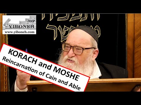 Rabbi Yitzchak Breitowitz: Korach and Moshe - Reincarnation of Cain and Able