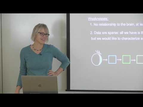 5. Cognitive Neuroscience Methods II