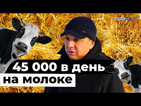 A farmer from the countryside earns 45,000 rubles a day from milk. And he dreams of attracting Mu...
