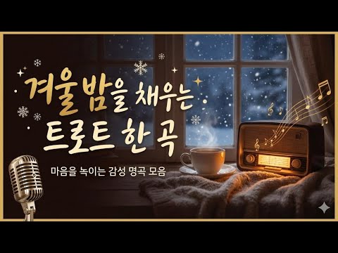 겨울에 듣기 좋은 따뜻한 트로트 모음집입니다
