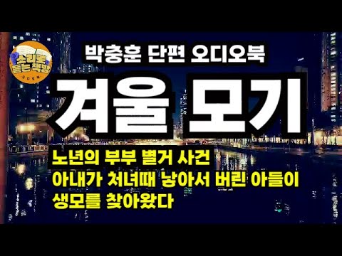 [단편소설오디오북] 겨울 모기∖박충훈 작가∖한 남자가 찾아왔다. 생모를 만나기 위해... 아내는 내가 월남에 파병나간 사이 그놈과 엉겨 붙어 아이까지 낳고, 그 아이를 버리고