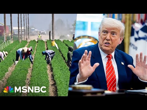 Flip-flopper in chief: Trump claims to soften immigration policy without action