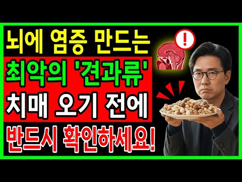 60세 이후 반드 조심해야 할 뇌에 염증 만드는 견과류 4가지와 치매로부터 뇌를 지켜주는 견과류 4가지 | 뇌건강 | 치매예방 | 오디오북 | 시니어건강 |