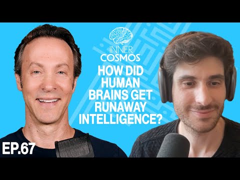How did human brains get runaway intelligence? | Inner Cosmos with David Eagleman