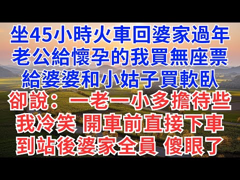 坐45小時火車回婆家過年，老公給懷孕的我買無座票，給婆婆和小姑子買軟臥，卻說：一老一小多擔待些，我冷笑，火車開車前直接下車，到站後婆家所有人傻眼了！#為人處世#故事#情感#戀愛#婚姻#婆媳#過年