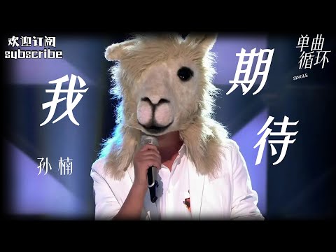 张雨生这首《我期待》被完美复刻了！#孙楠  #蒙面歌王 #sunnan