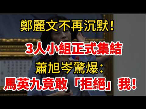 鄭麗文豁出去了!「3人小組」重磅發聲,蕭旭岑驚爆:馬英九竟敢「拒絕」我!