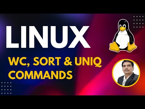 Part 6 - Unix/Linux for Testers | wc, sort & uniq Commands