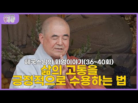 [#정주행] 눈과 귀로 들어오는 정보 어떻게 정리하고 받아들일 것인가｜혜국스님의 인생법문 몰아보기(36~40회) #혜국스님