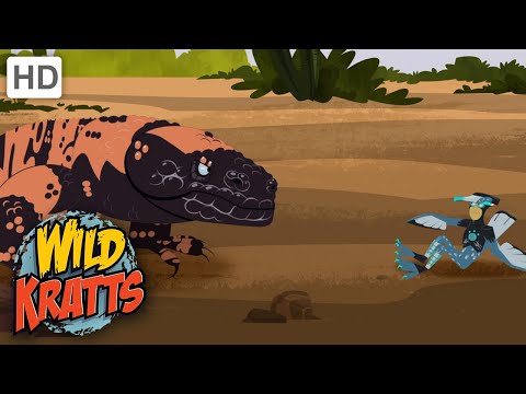 Wild Kratts | Roadrunner | Full Episode | Season 2