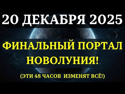 ATTENTION! THE PORTAL YOU'VE BEEN AWAITING ALL YEAR! AND IT'S OPEN NOW!