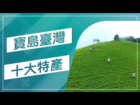 草地狀元-我的家鄉94狂:台灣十大鄉鎮特產 (20180219播出)careermaster
