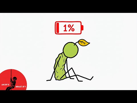 What If You Could Eat Sunlight? xNOR'S What IF?