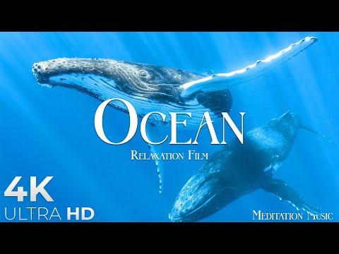 The Ocean (4K UltraHD)- Relaxation Film - Peaceful Relaxing Music - 4k Video UltraHD