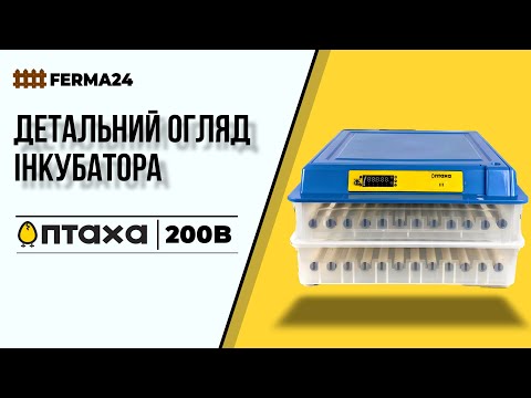 Інкубатор ПТАХА 200-В. Детальний огляд
