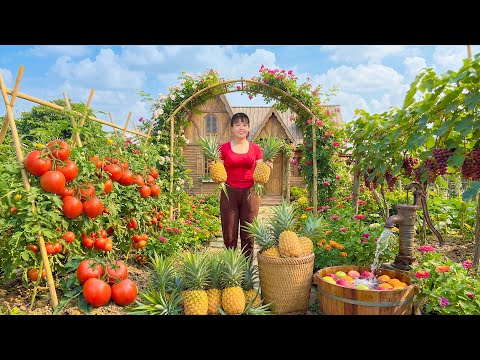 TIMELAPSE -- Life in the Peaceful Farm: Harvesting Giant Pineapple, Go to Sell (Full Process)