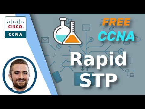 Free CCNA | Rapid STP | Day 22 Lab | CCNA 200-301 Complete Course