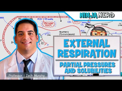 Respiratory | External Respiration: Partial Pressures and Solubilities