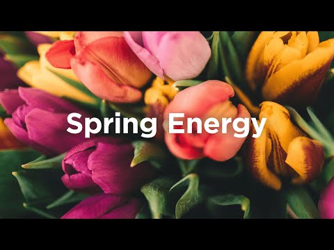 Spring Energy ☀️ Happy & Relaxing Chillout Music  | Chillout House