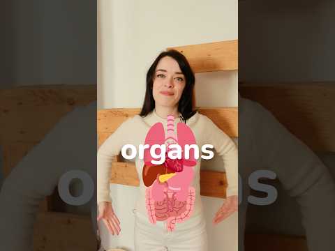 Body vocabulary | Organs