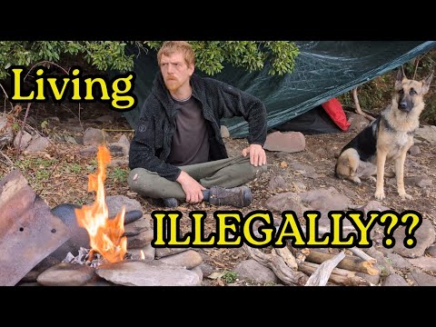 The System calls this ILLEGAL but I call it LIVING