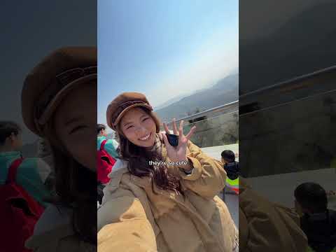 I’ve never visited a city with zero tourists until now. Nanchang Wo ai ni❤️ #china #nanchang