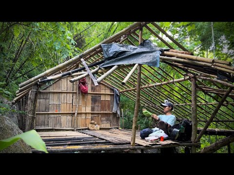 มานอนกระต๊อบร้าง? หลังใหญ่มาก! เจ้าของหายไปไหน ทำไมเป็นสภาพนี้? เจอส้มโอป่า!อร่อยมาก! ลมแรงทั้งคืน!