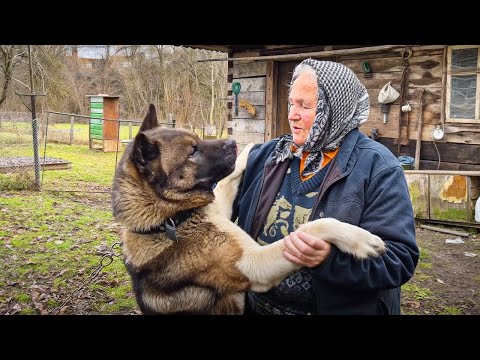 Lonely Elderly Grandma Living Far from Civilization: Ancient Traditions in Remote Mountain Village