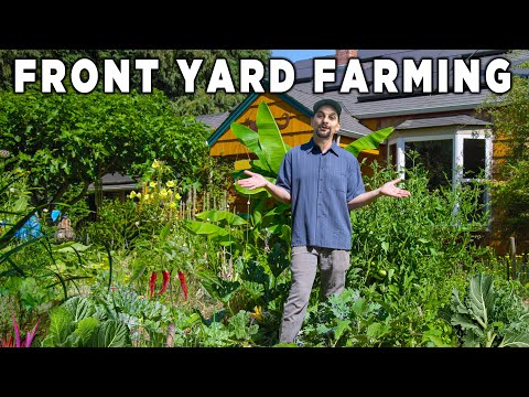 Kill Your Lawn and GROW FOOD!