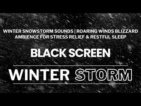 Winter Snowstorm Sounds | Roaring Winds & Blizzard Ambience for Stress Relief & Restful Sleep