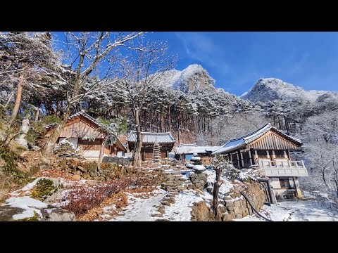 2025.12.15 팔공산 눈꽃산행 #99 4k (동산탐방지원센터-오도암-하늘정원-비로봉-군사도로-동산탐방지원센터)