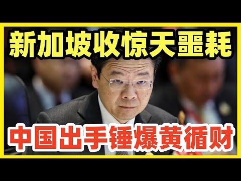 中国出手锤爆黄循财！海南洋浦港直航暴增，分流新国转口生意！黄某脸上首次出现惊恐！