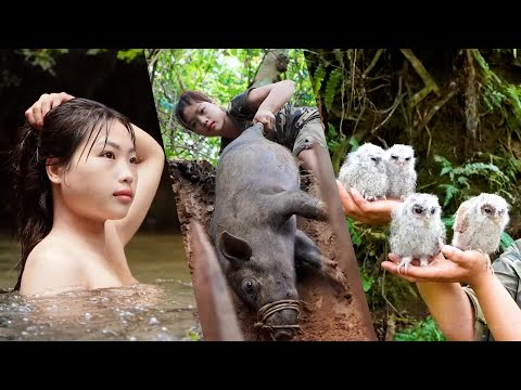 一次看爽之極品美女獨自野外生存，捕捉極品野豬馴養野豬，發現一窩奇特的鳥，給鳥兒打造鳥巢，還有精彩的荒野沐浴，捕捉超大巨型火雞！真是看爽！