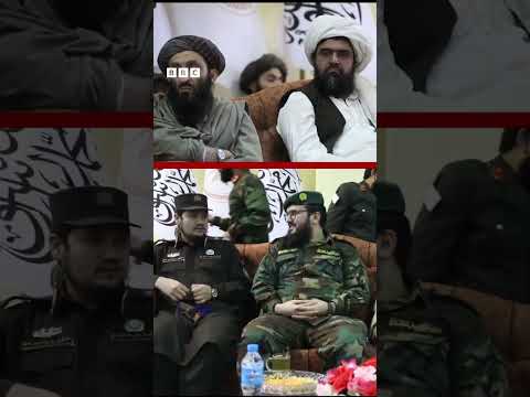 ملا برادر وایي افغانستان غوړه ګوله نه، بلکې د زقوم ونه ده - "خپل پور چا ته نه پرېږدي"