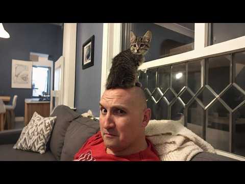 Dad with cat he did not want 😹