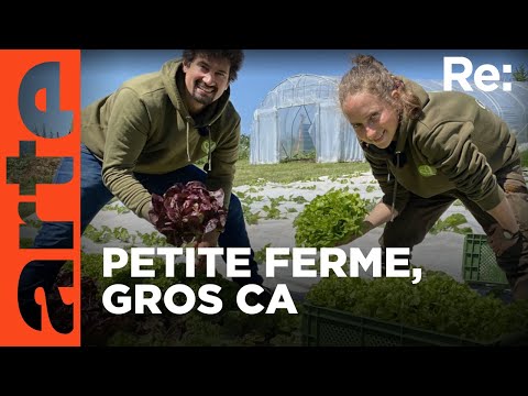 Microfermes, des exploitations très rentables | Reportage (2023) | ARTE Regards