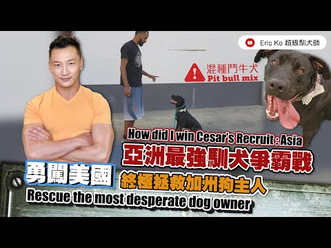 亞洲最強馴犬爭霸戰  幕後花絮 How did I win Cesar's Recruit Asia Behind the Scene