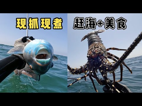 《环球探海记》阿曼 第47天:今天潜水抓龙虾时,竟然被巨型海鳗吓得全身发抖 #抓龙虾 #自由潜渔猎 #环球赶海旅行