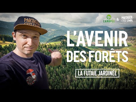 INVESTIGATION: The Future of Forests is already 130 years old! | EP 2: The managed high forest