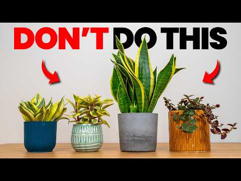 10 Mistakes That Make Your Plants Look CHEAP