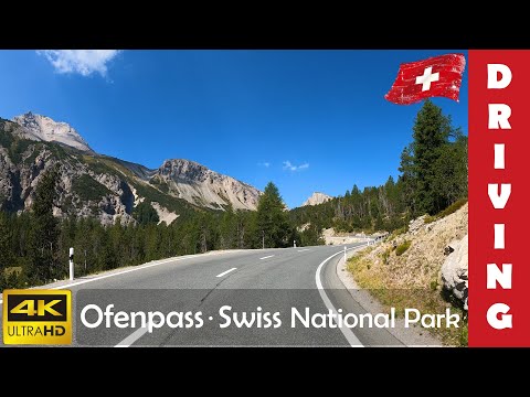 Driving in Switzerland 7: Ofen Pass & Swiss National Park | 4K 60fps