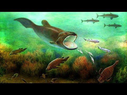 Происхождение и эволюция рыб (рассказывает палеонтолог Ярослав Попов, подборка)
