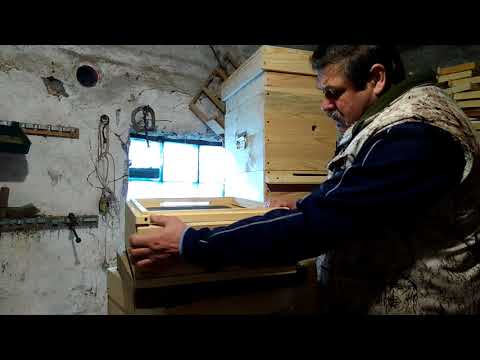 Универсальное сетчатое дно для десятирамочного улья