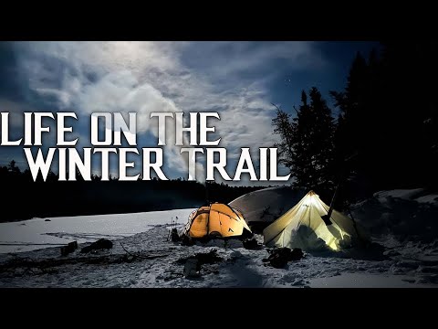 10 Days Winter Camping in the Northern Forest | Life on the Winter Trail E.1 - Husky Dog & Hot Tents