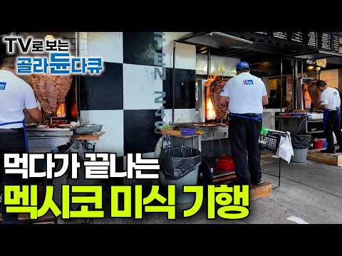 멕시코 사람들 타코만 먹는 줄 알았는데.. 🌮ㅣ멕시코 전문 요리사가 말해주는 배 터지는 멕시코 진짜 맛집 모음집ㅣ멕시코ㅣ진우범ㅣ남아메리카 멕시코ㅣ세계테마기행│#골라듄다큐