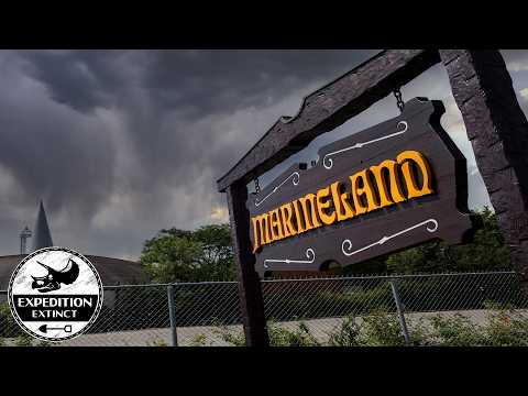 The Abandoned History Of North America's Worst Theme Park: Marineland