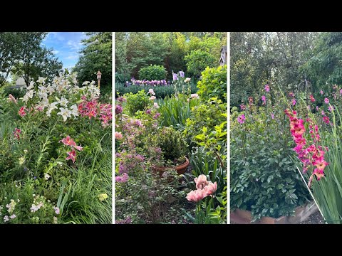 A Year of Garden Tours in my Cottage Garden