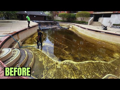 Nastiest Pool We’ve Cleaned This Season 😳Wait Until You See the End! #transformation #satisfying 